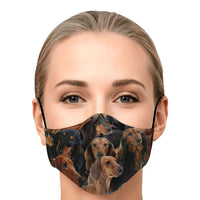 Load image into Gallery viewer, Designs by MyUtopia Shout Out:Dachshund Animal Print Fitted Face mask with Adjustable Ear Loops and filter pocket
