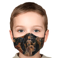 Load image into Gallery viewer, Designs by MyUtopia Shout Out:Dachshund Animal Print Fitted Face mask with Adjustable Ear Loops and filter pocket
