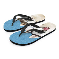 Load image into Gallery viewer, Designs by MyUtopia Shout Out:Huskies Flip-Flops
