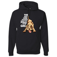 Load image into Gallery viewer, Designs by MyUtopia Shout Out:The Only Thing Vicious About My Pitbull Is His Gas Pullover Hoodie,Black / S,Pullover Hoodie
